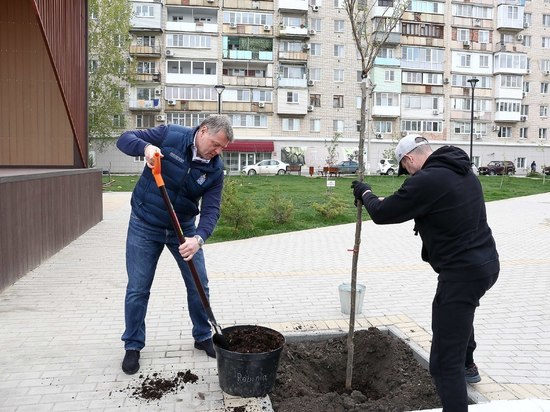 В Астрахани высадили псевдоакации