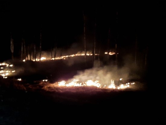 Большой пожар из-за пала травы зафиксировали в Островском районе
