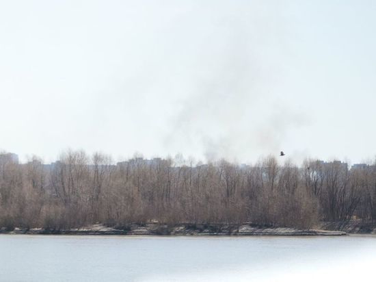 В Омске уже в третий раз горела трава на Левом берегу