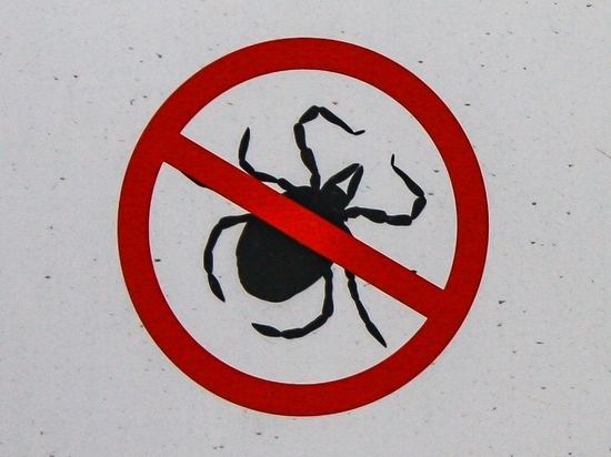 Мэрия Петрозаводска сообщила даты начала обработки территорий города от клещей