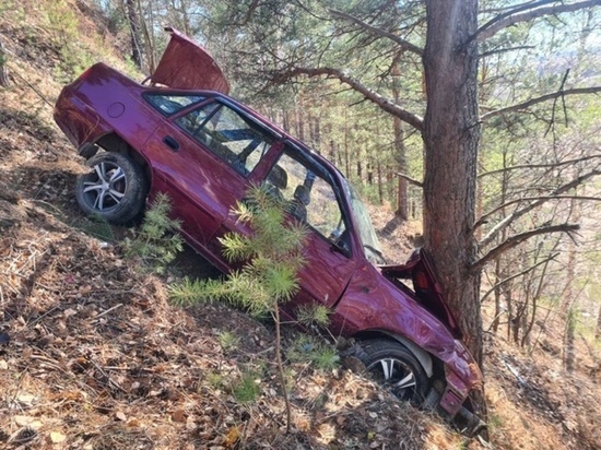 Травмы головы и позвоночника: жительница Салехарда за рулем авто врезалась в дерево в Тюменской области