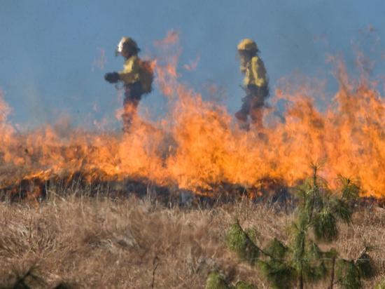 Больше 200 гектаров сухой травы уничтожили пожары за сутки в Забайкалье