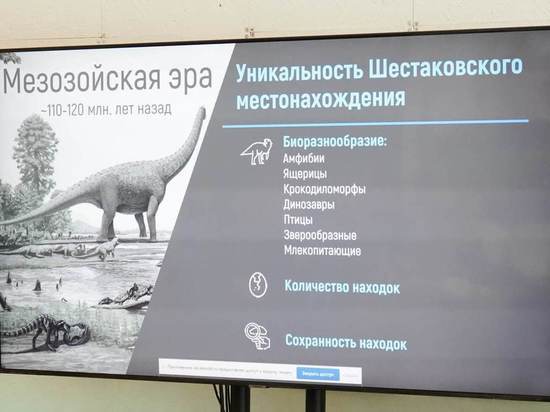 Туристы со всего мира будут приезжать смотреть на кузбасских динозавров