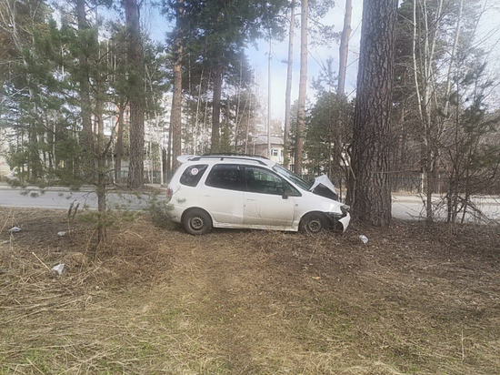 Toyota Corolla Spacio в Северске врезалась в дерево