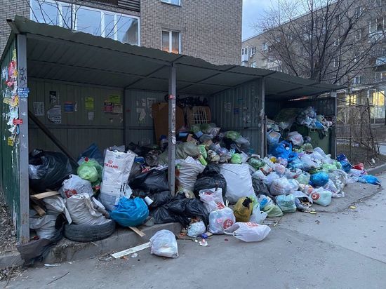 Экология-Новосибирск заявила о стабилизации ситуации с вывозом мусора
