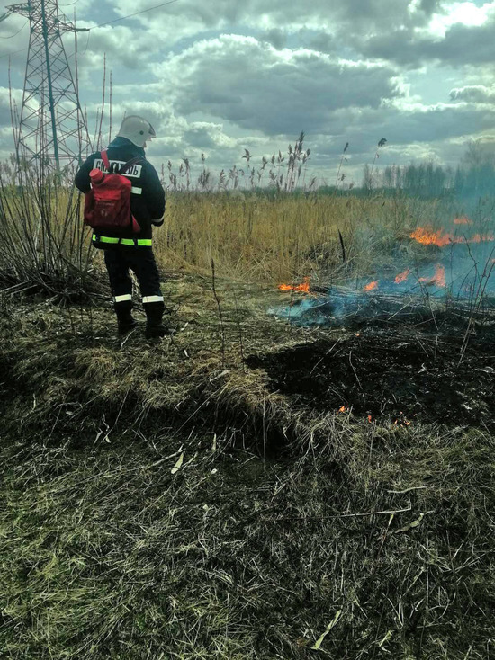 Во Владимире тушили крупный природный пожар