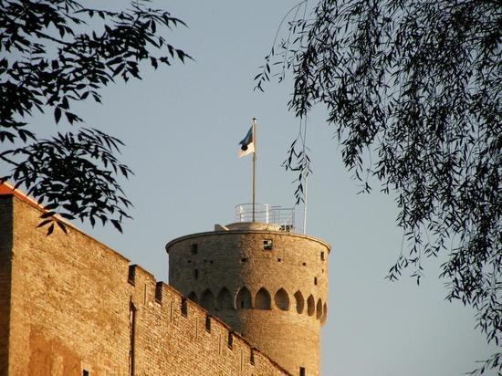 В Петербурге официально закрылось консульство Эстонии