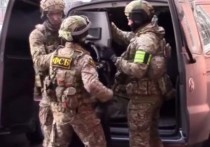 ФСБ опубликовала кадры задержания членов группировки, планировавших убийство телеведущего Владимира Соловьева