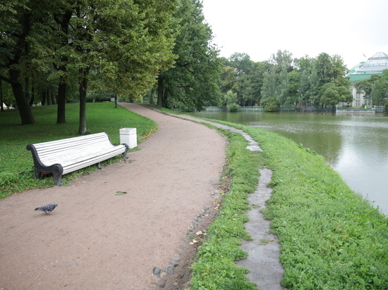 Дожди не помешают петербургским паркам и садам вовремя открыться после просушки