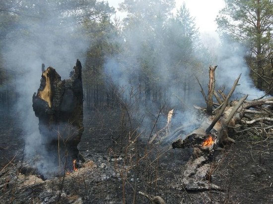 В Челябинской области вновь горел нацпарк
