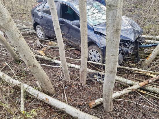 Иномарка в Новгородском районе рухнула в кювет и влетела в дерево