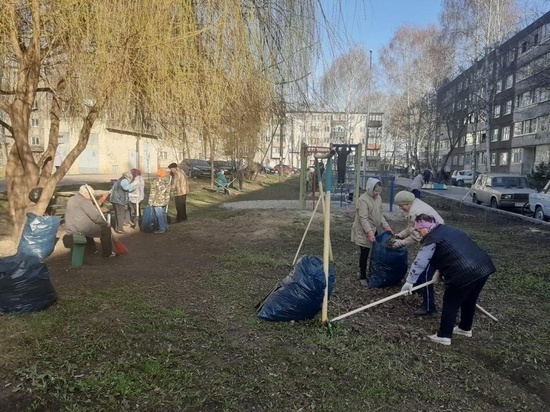 В Тамбове в субботниках приняли участие за неделю свыше 500 жителей города