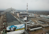 В 36-ю годовщину Чернобыльской аварии на ЧАЭС приезжает гендиректор Международного агентства по атомной энергии (МАГАТЭ) Рафаэль Гросси