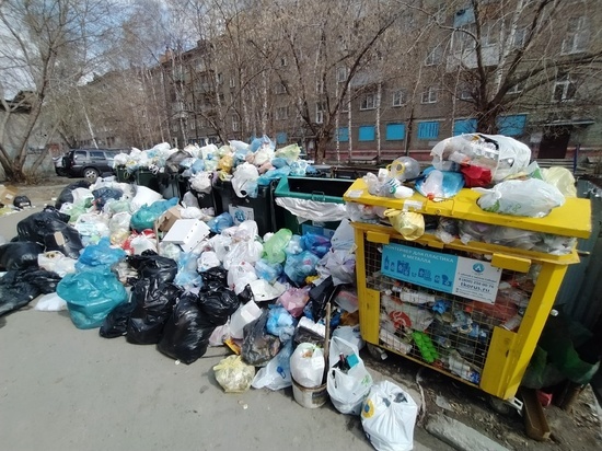Байден виноват: Собчак раскритиковала мусорные кучи на остановке общественного транспорта в Новосибирске