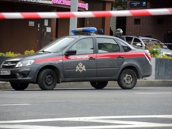Депутат Госдумы призвала заменить вахтеров в детсадах и школах бойцами Росгвардии