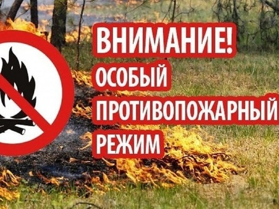 Во время особого противопожарного режима белгородцев будут штрафовать за разведение костров в лесу