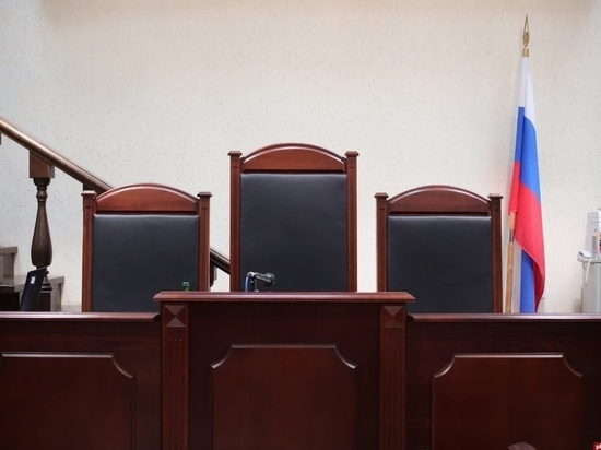 Житель Куньинского района отправится в колонию за убийство на 7,5 лет
