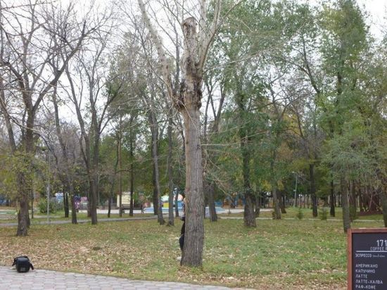 Омские «Весёлые колобки» позвали в парк батюшку для обряда освящения аттракционов