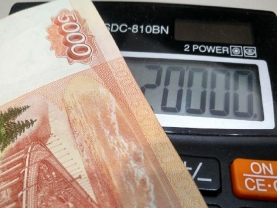 Более 1500 заявок одобрено представителям бизнеса на получение мер господдержки в Новосибирской области