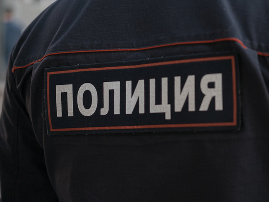 МВД: сторонники Навального Албуров и Гимади объявлены в розыск