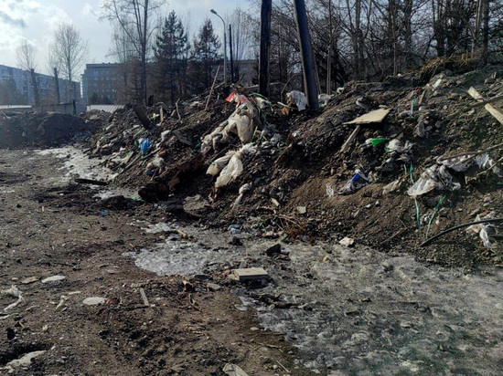 Более 14 млн рублей будут направлены на ликвидацию свалок в Центральном районе Красноярска