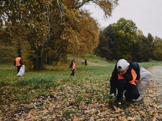 Костромской молодежи предлагают записываться в экологические отряды