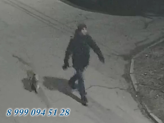 Камеры засняли пса, убитого в Петрозаводске, с неизвестным мужчиной