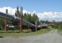 «Как пережить зиму без резервов?»