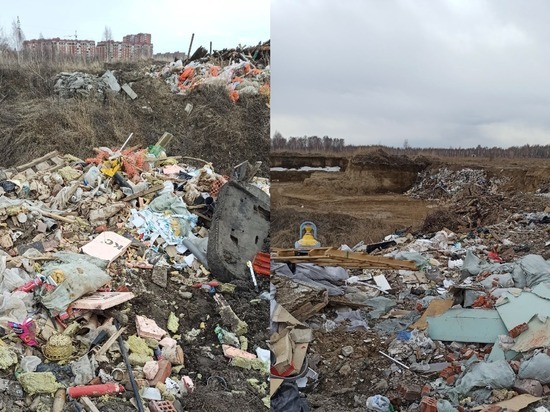 Местные жители возмутились стихийной свалкой на Ключ-Камышенском плато в Новосибирске