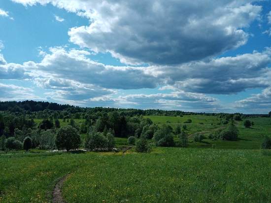 120 человек пострадали от укусов клещей в Вологодской области