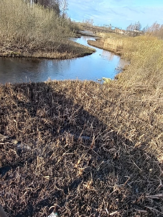 В Тверской области из реки ушла вода