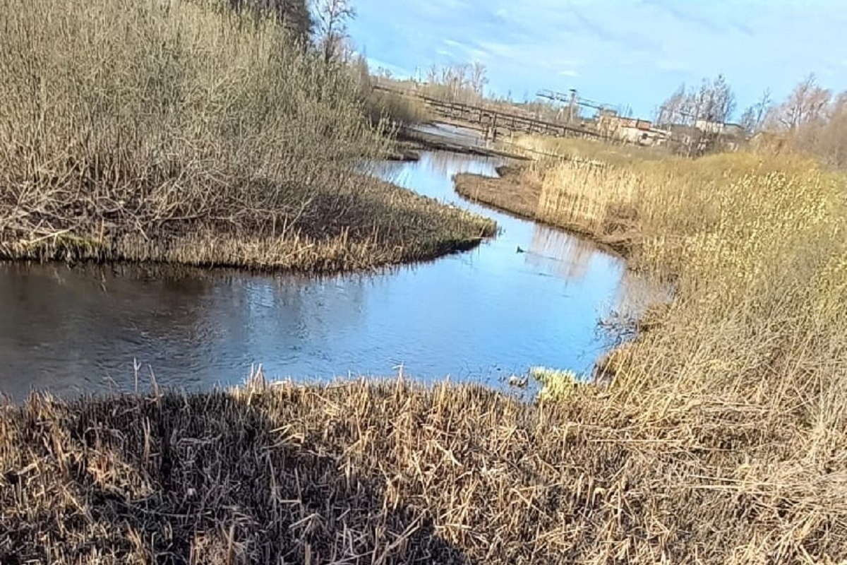 Дней уходящих река. Ушлонка река. Когда из рек уйдет вода.