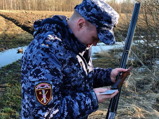 В Костромской области начались масштабные проверки охотников