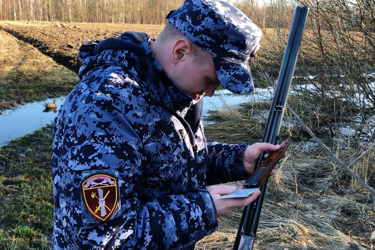 В Костромской области начались масштабные проверки охотников