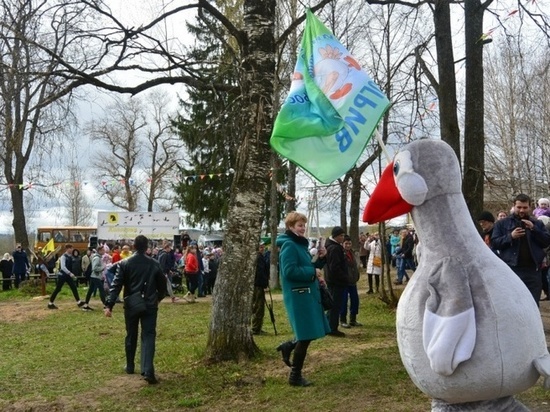 Жители Кологрива готовятся провести 7 мая костромской экологический праздник - День гуся