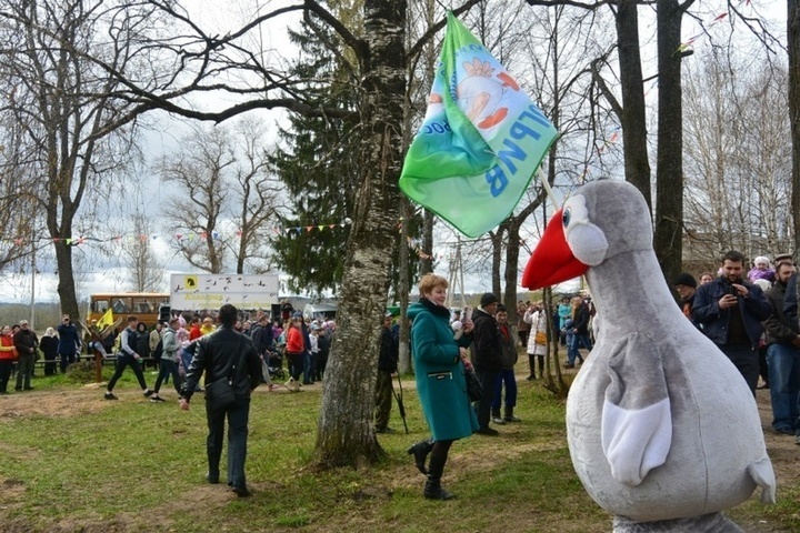 Жители Кологрива готовятся провести 7 мая костромской экологический праздник – День гуся