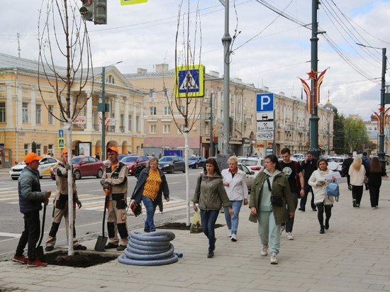 В Воронеже на проспекте Революции возобновили высадку клёнов
