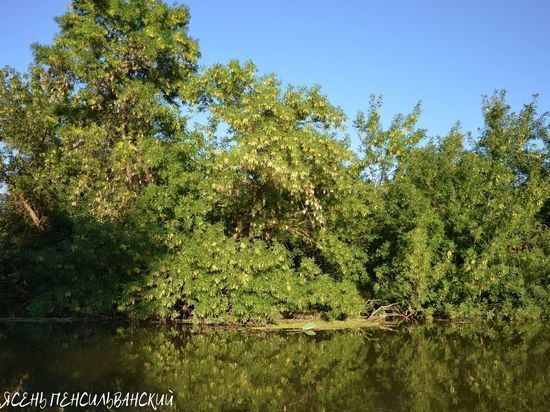С Волгоградского водохранилища увеличили сбросы воды
