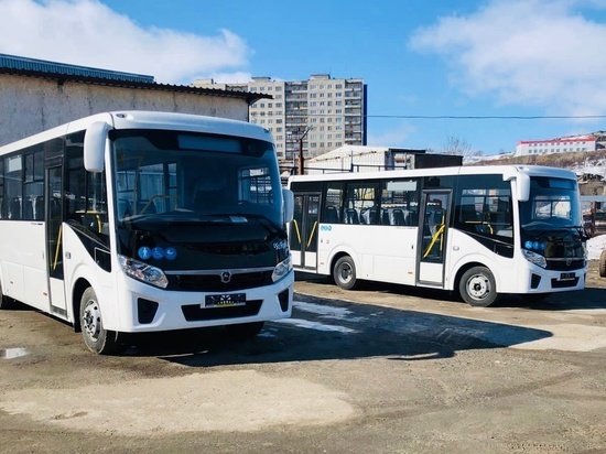 В Мурманской области появится более 130 новых автобусов