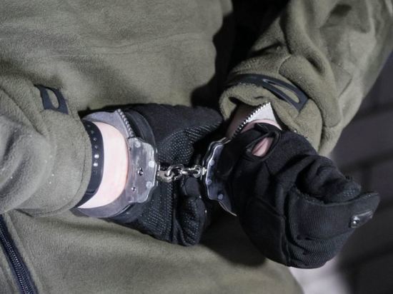 Суд арестовал московского депутата Горинова за фейки об армии