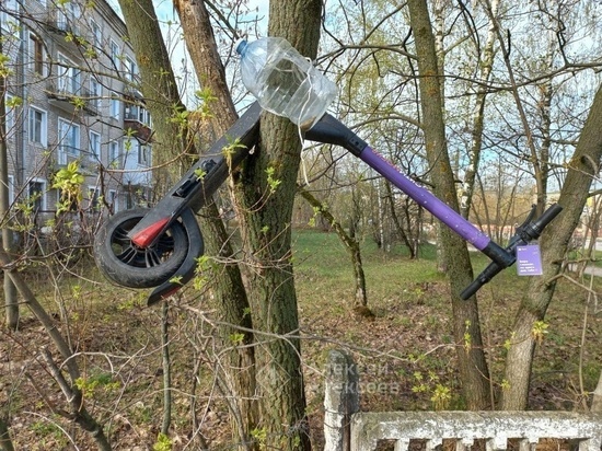 В Нижнем Новгороде появился анонимный борец с самокатами