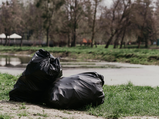 Жителей Мурино пригласили на городские субботники
