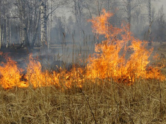 Особый противопожарный режим веден в других районах Хабаровского края