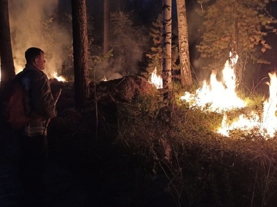 Особый противопожарный режим вводится в Свердловской области