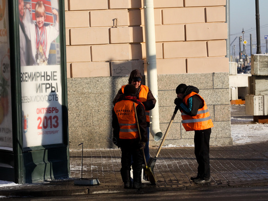 Петербуржцам предложили выдать плохих дворников властям