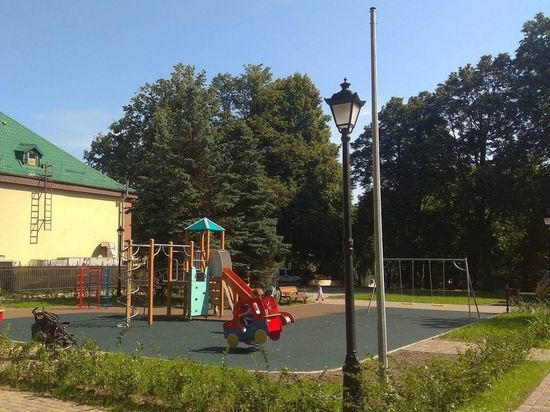 На улице Куйбышева в Калининграде планируют высадить живую изгородь