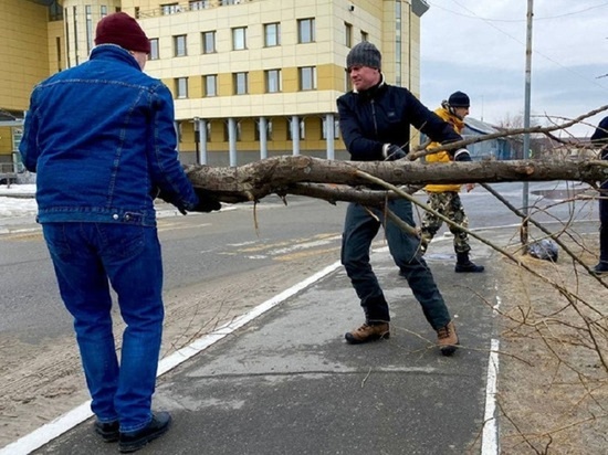 Жители Ямала выйдут на весенние субботники с экопикниками