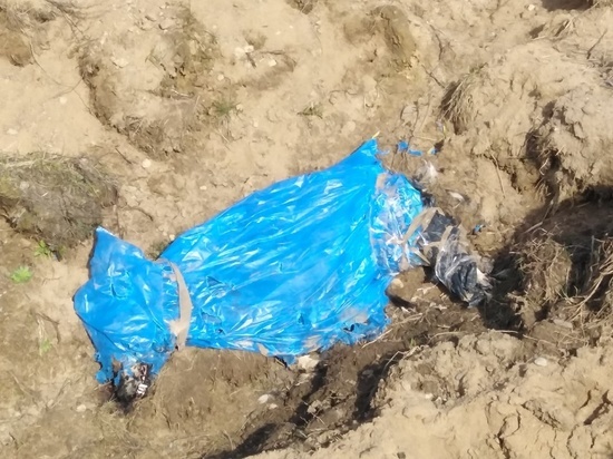 В Тверской области нашли завёрнутый в пакет труп пса с замотанными лапами