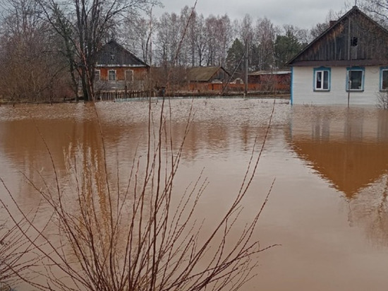 В Кезу подтопило несколько домов после обильных ливней