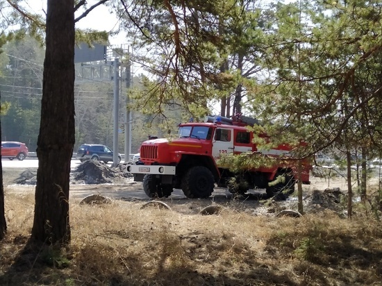 В Томске и 10 районах области объявлен противопожарный режим